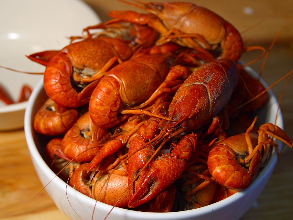 Crawfish Craft Crawfish Craft