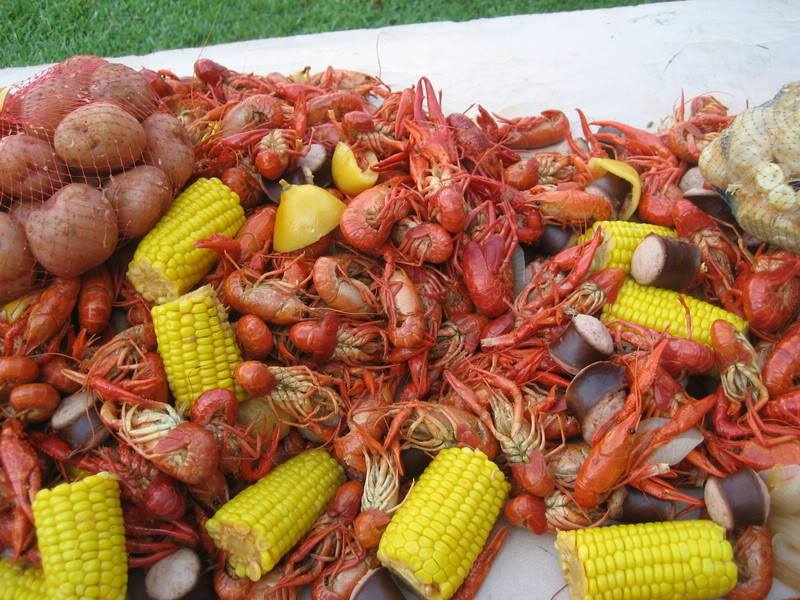 creole vs cajun down on the Quiz any aficionados of louisiana-area cuisine, and they can describe the differences between creole and cajun food down to the dish a rule when talking about these. creole vs cajun down on the Quiz any aficionados of louisiana-area cuisine, and they can describe the differences between creole and cajun food down to the dish a rule when talking about these.