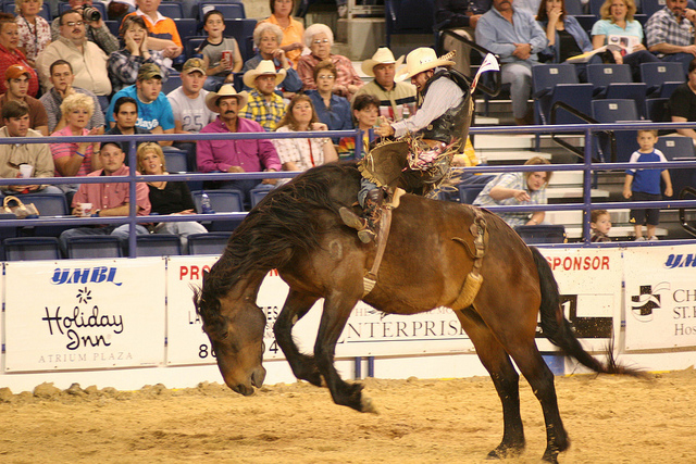 YMBL South Texas State Fair & Rodeo