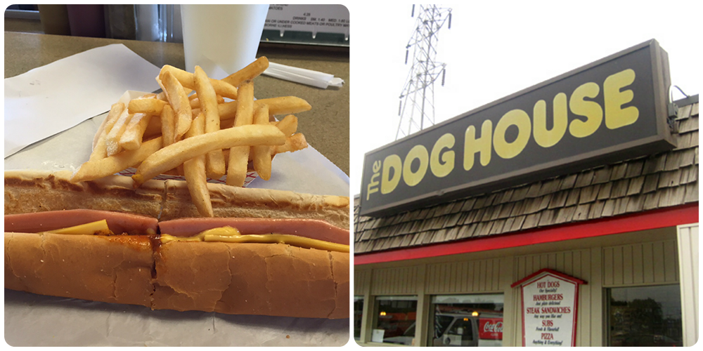 deerhead dogs diggity best bets inside the delaware doghouse from deerhead to the sweenie deerhead dogs diggity best bets inside the delaware doghouse from deerhead to the sweenie