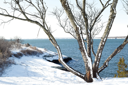 winter-escape