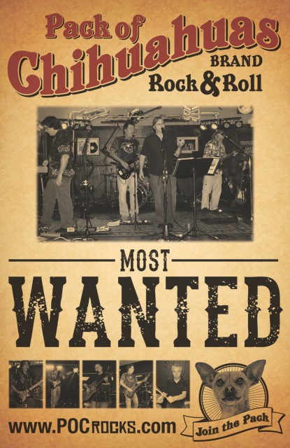 Pack of Chihuahuas will perform at The Coachman Restaurant in Plainfield, Ind. on Friday, Aug. 22.