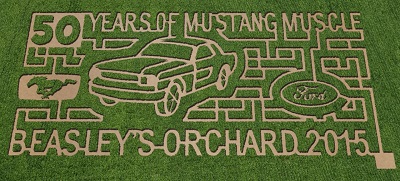 Beasley's Corn Maze celebrates the anniversary of the Ford Mustang this year. Beasley's Orchard Corn Maze in Danville, Indiana