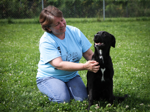 Cherie Fox plays with a dog at the Hendricks County Animal Shelter Cherie Fox plays with a dog at the Hendricks County Animal Shelter