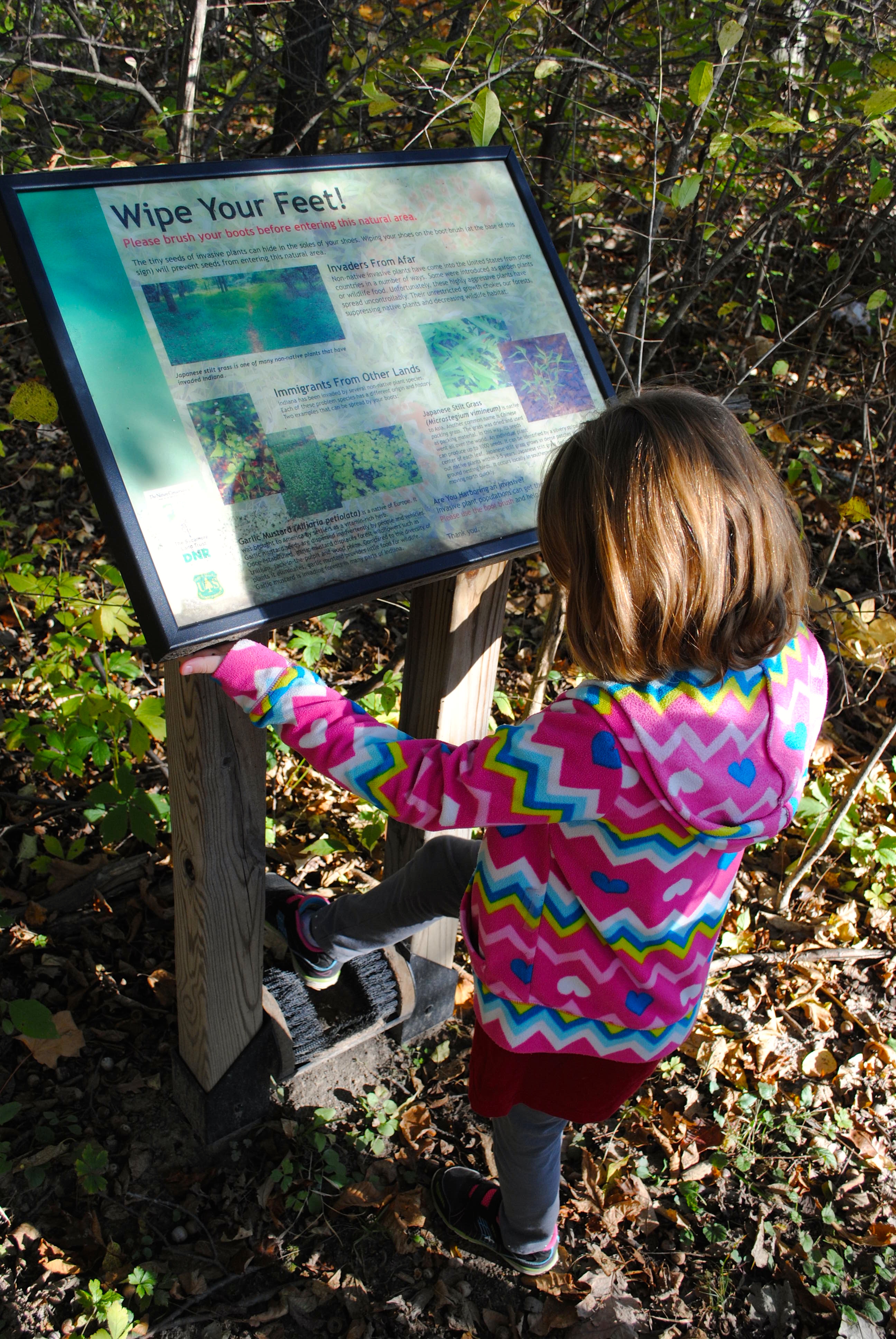 Be sure to wipe your shoes at the boot brush station as you enter Burnett Woods. Boot brush station as you enter Burnett Woods Nature Preserve in Avon, Indiana.