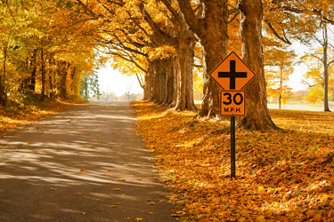 Scenes like this one, near North Salem, may just greet you while you are traveling through Hendricks County in the fall. Leaves changing near North Salem, Indiana