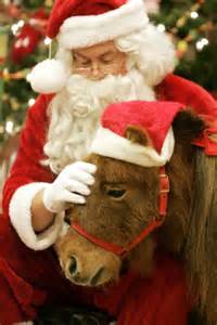 Santa with Ponies?! What more could a kid want? Santa with Ponies