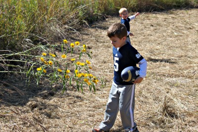 Checking out the beautiful flowers in the Prairie Maze