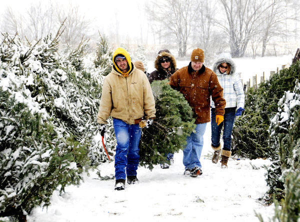 Evans Whispering Pines Christmas Tree Farm Christmas Tree Shopping