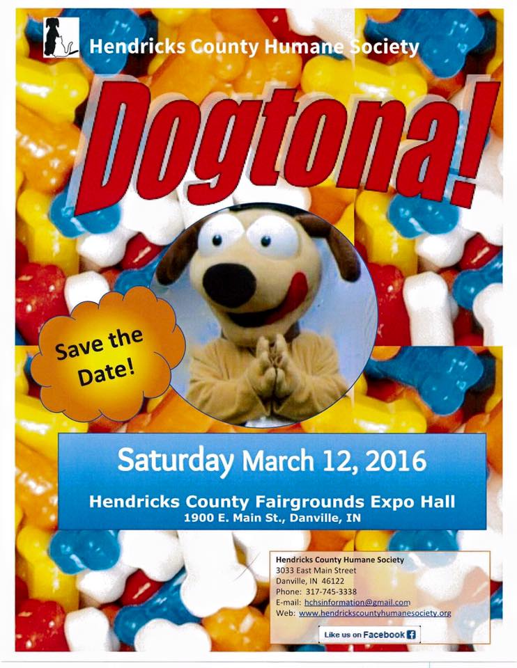 Dogtona! Dogtona!