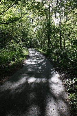 Trail at Arbuckle Acres Park, Brownsburg Arbuckle Acres Park, Brownsburg, Indiana