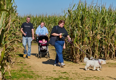You can bring that extra member of your family to the annual Dog Daze at the Maze at Beasley's Orchard. Dog Daze at the Maze at Beasley's Orchard in Danville, Indiana