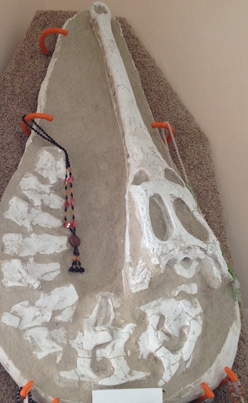 This rare Mosasaurus skull fossil can only be found at FROGS. Prehistoric dinosaur fossil at FROGS in Pittsboro, Indiana
