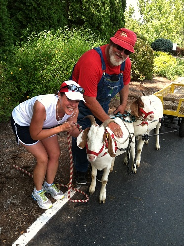 No, I wasn't kidding when I said I saw goats training for an upcoming festival while running in Hummel Park. Goats at Hummel Park in Plainfield, Indiana