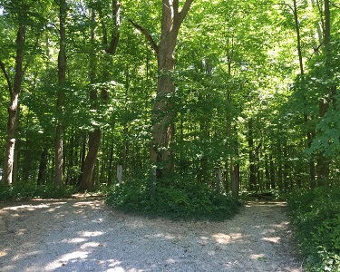 Washington Township Community Park, Avon, trails