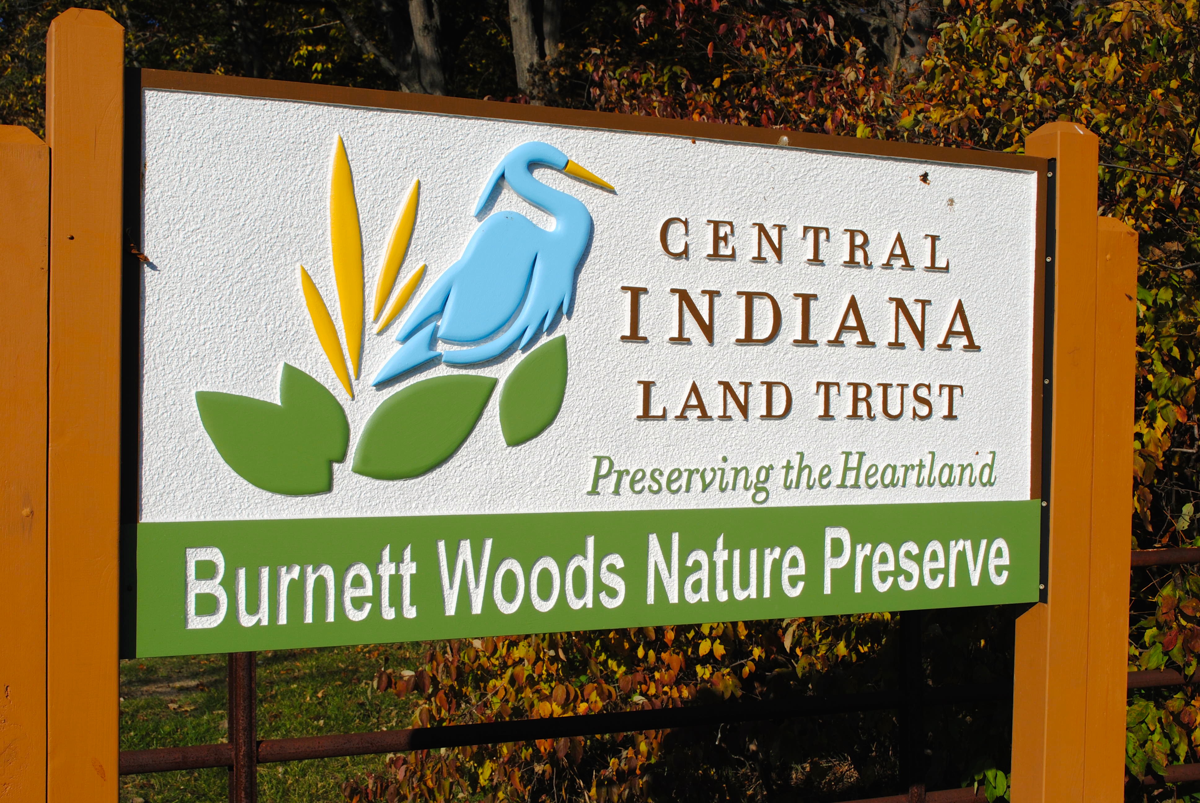 Burnett Woods Nature Preserve is located at 8264 E. County Road 100 South in Avon, Ind. Burnett Woods Nature Preserve in Avon, Indiana