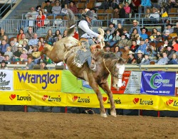The IPRA will bring the excitement of rodeo to the fair.