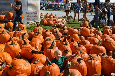 The Heartland Apple Festival is held over two weekends, Oct. 3-4 and 10-11. Beasley's Orchard Heartland Apple Festival, Hendricks County, Indiana