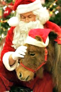 Santa will be visiting Strides to Success in Plainfield