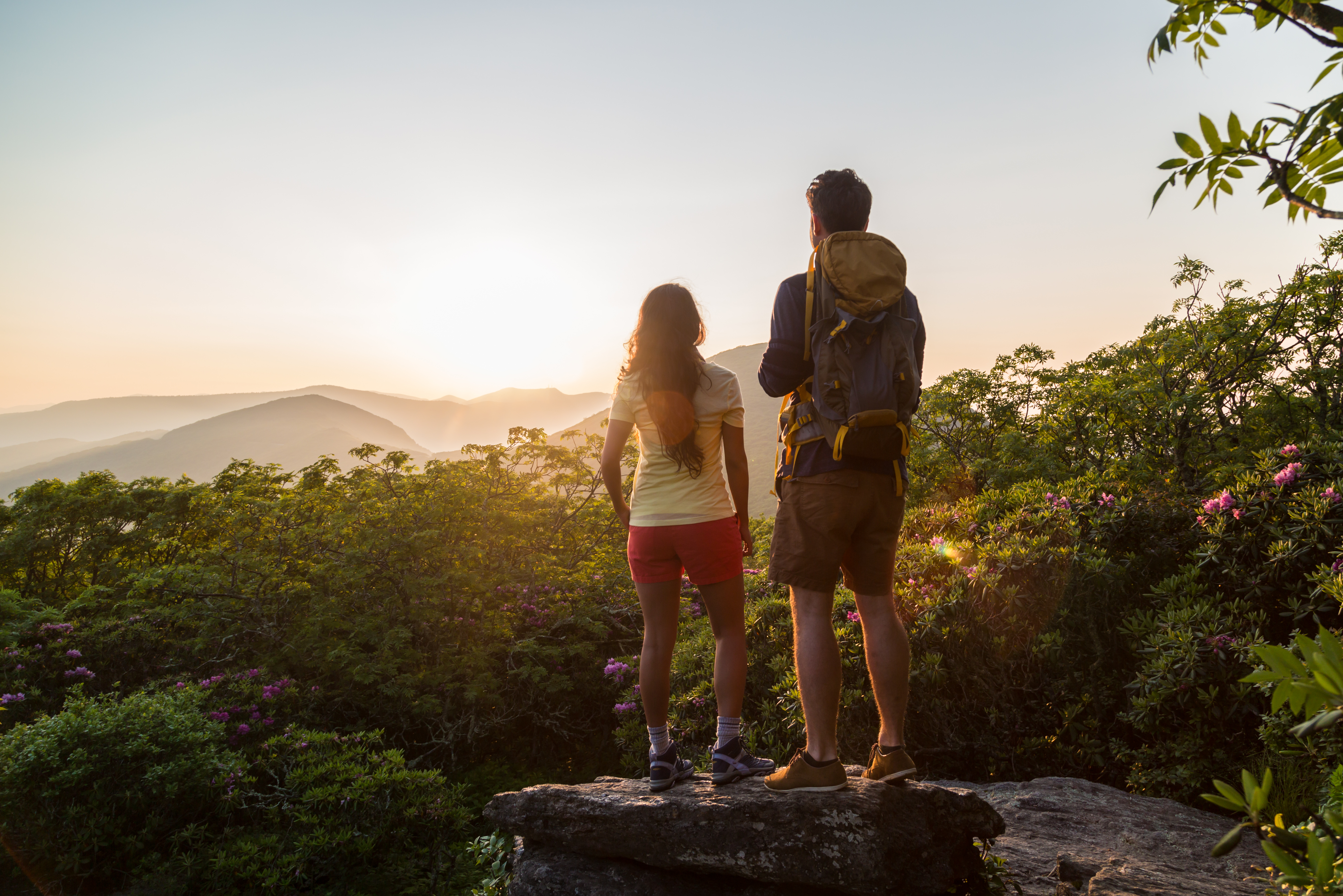 Asheville Hiking Guide: The Trail Starts Here