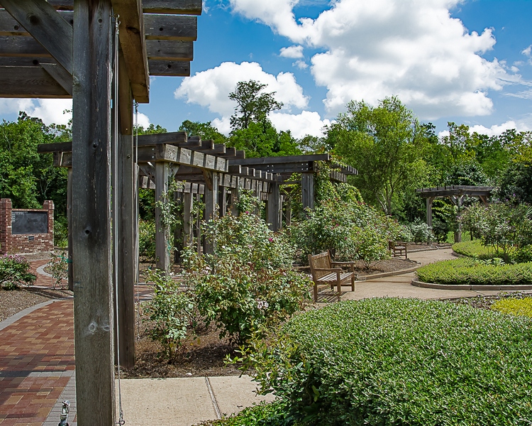 Gardens at Tyrrell Park