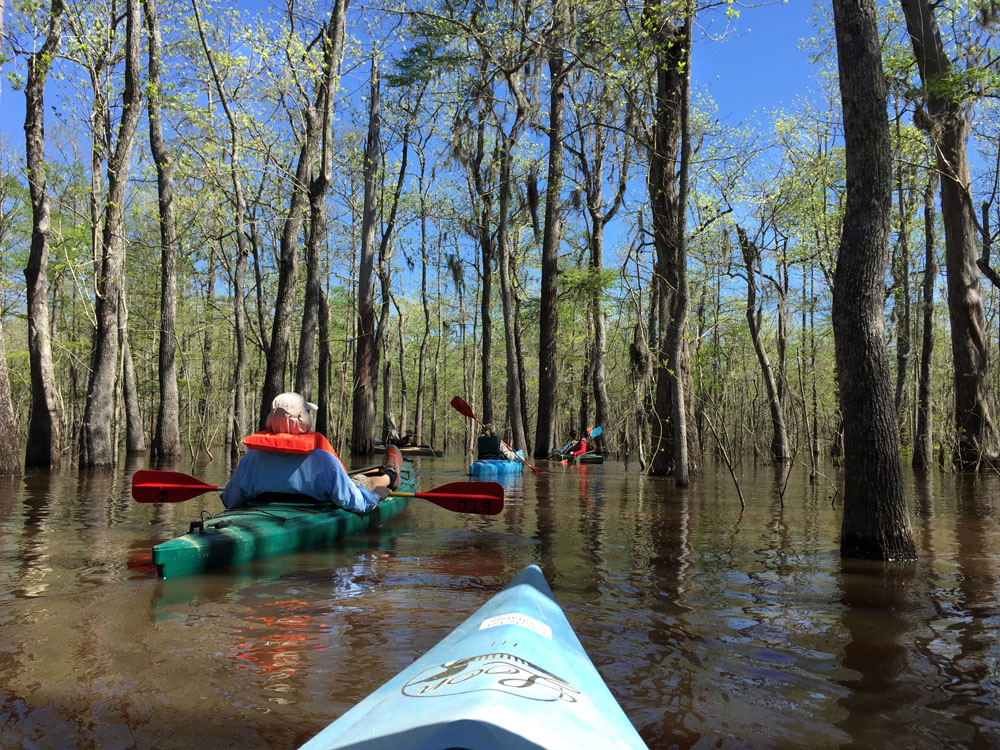 Paddling Cooks Lake