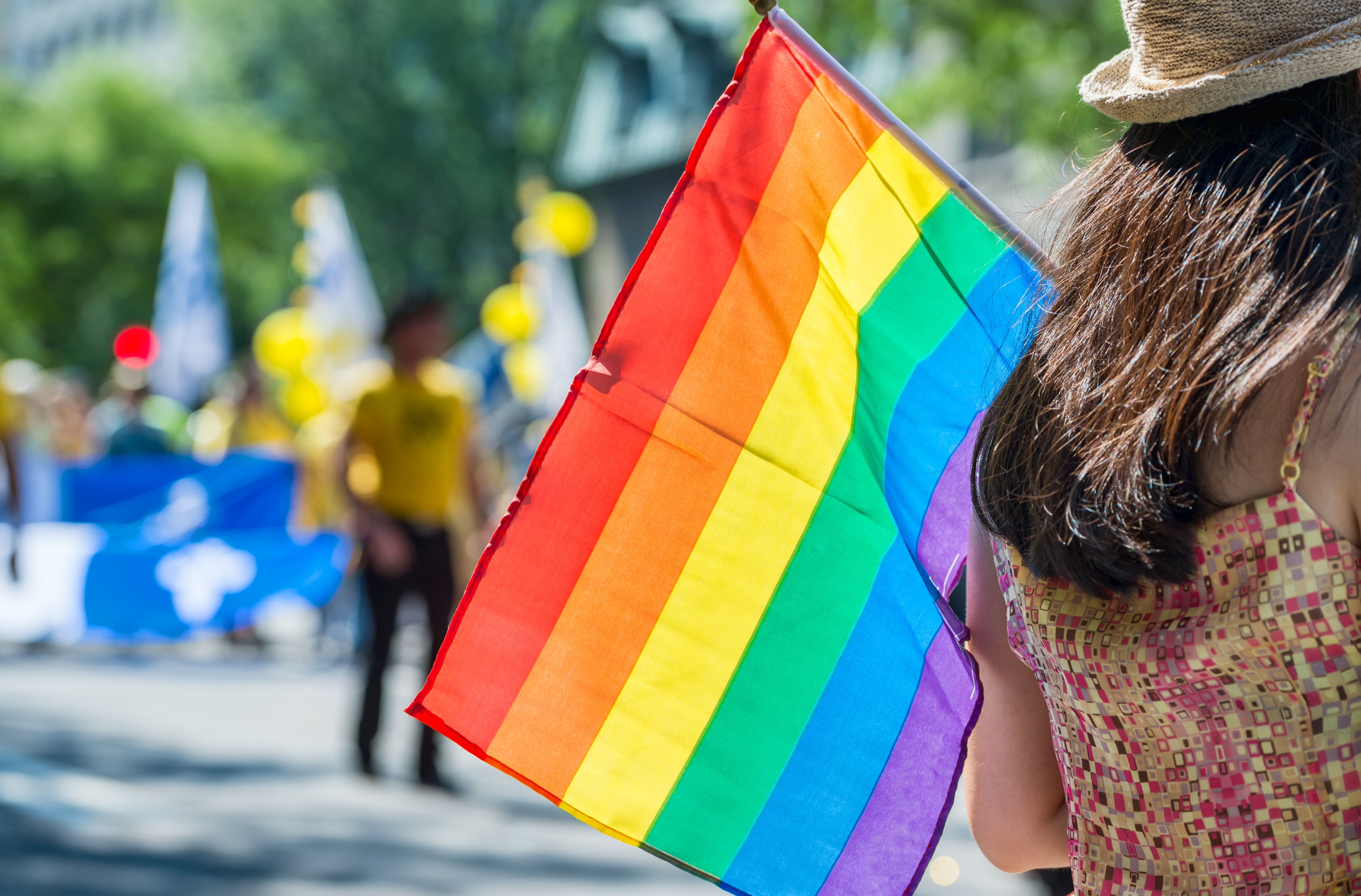 new gay flag green