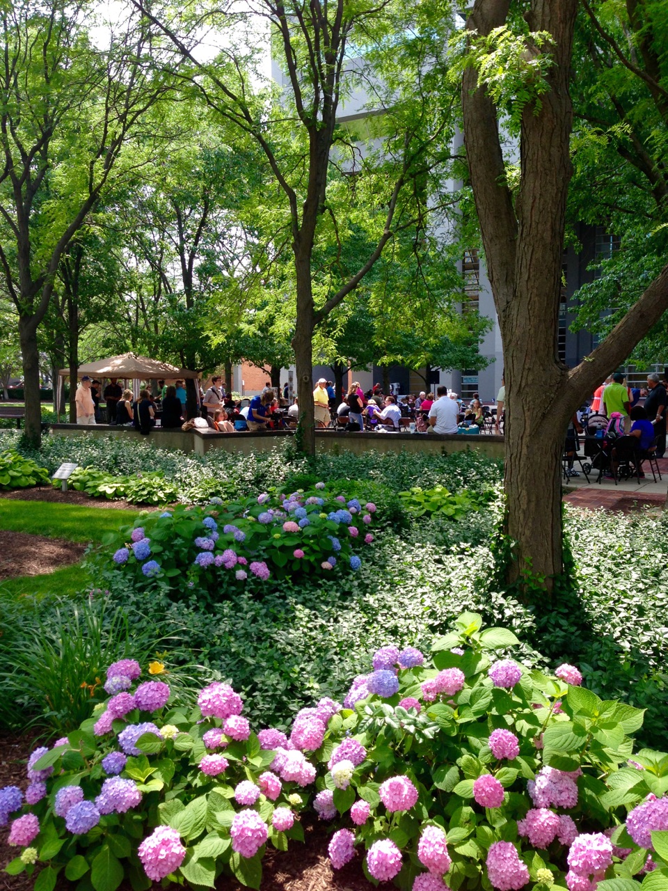 Lunch on the Plaza takes place at the I&M Power Center Plaza.