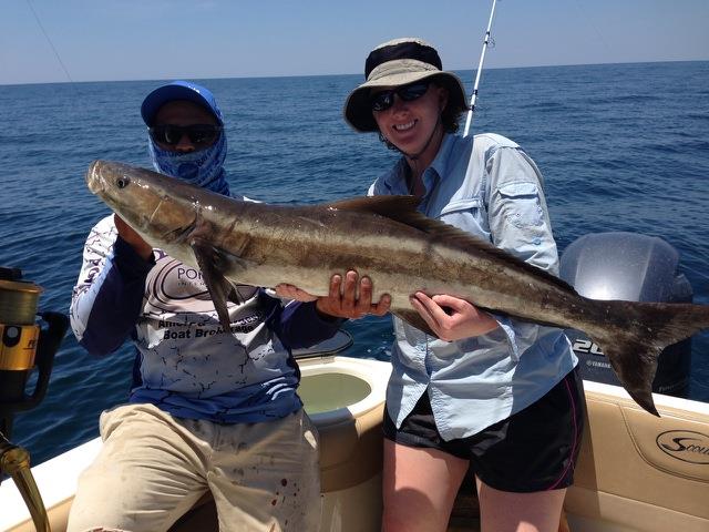 Cobia Fishing in Panama City Beach