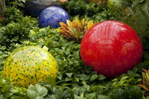 Chihuly's Niijima Floats Courtesy Franklin Park Convservatory, photo by T. Rishel