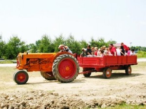 Tractor Ride at Salomon Farm