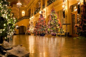 Festival of Trees