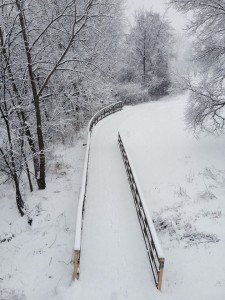 The River Greenway (photo taken by Mark Hanon)