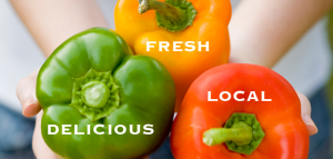 banner-with-titles