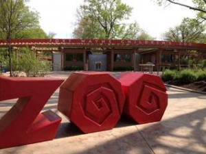 zoo08
