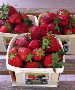 strawberries