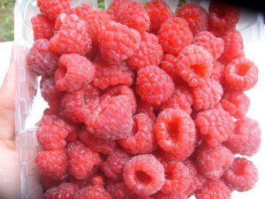 raspberries