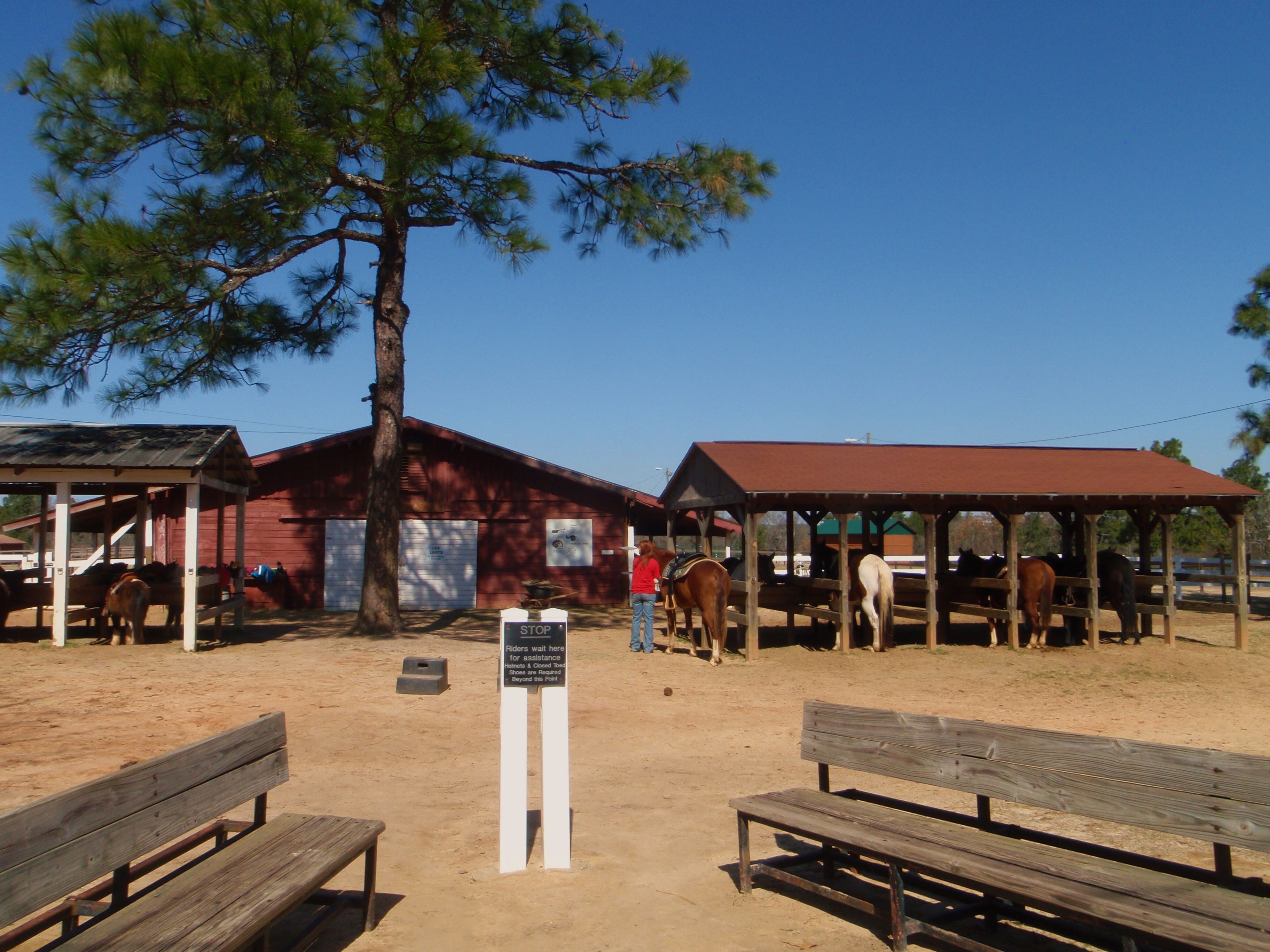 horse stables in augusta ga