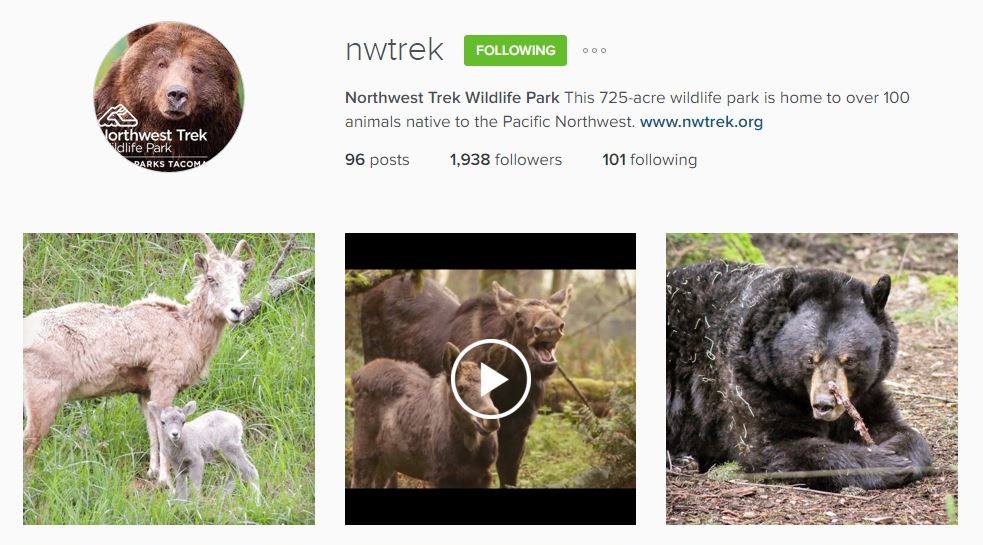 Northwest Trek Instagram