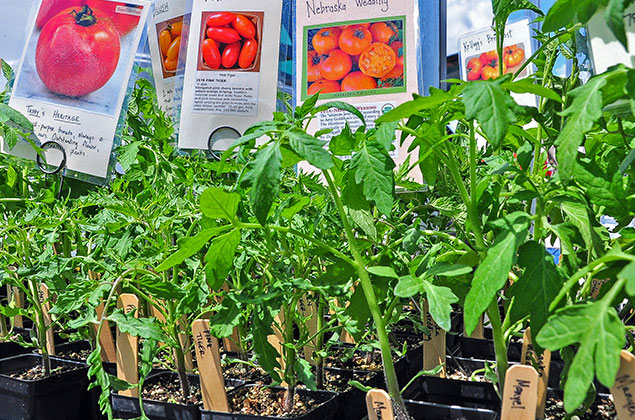 Somerset County Farmers