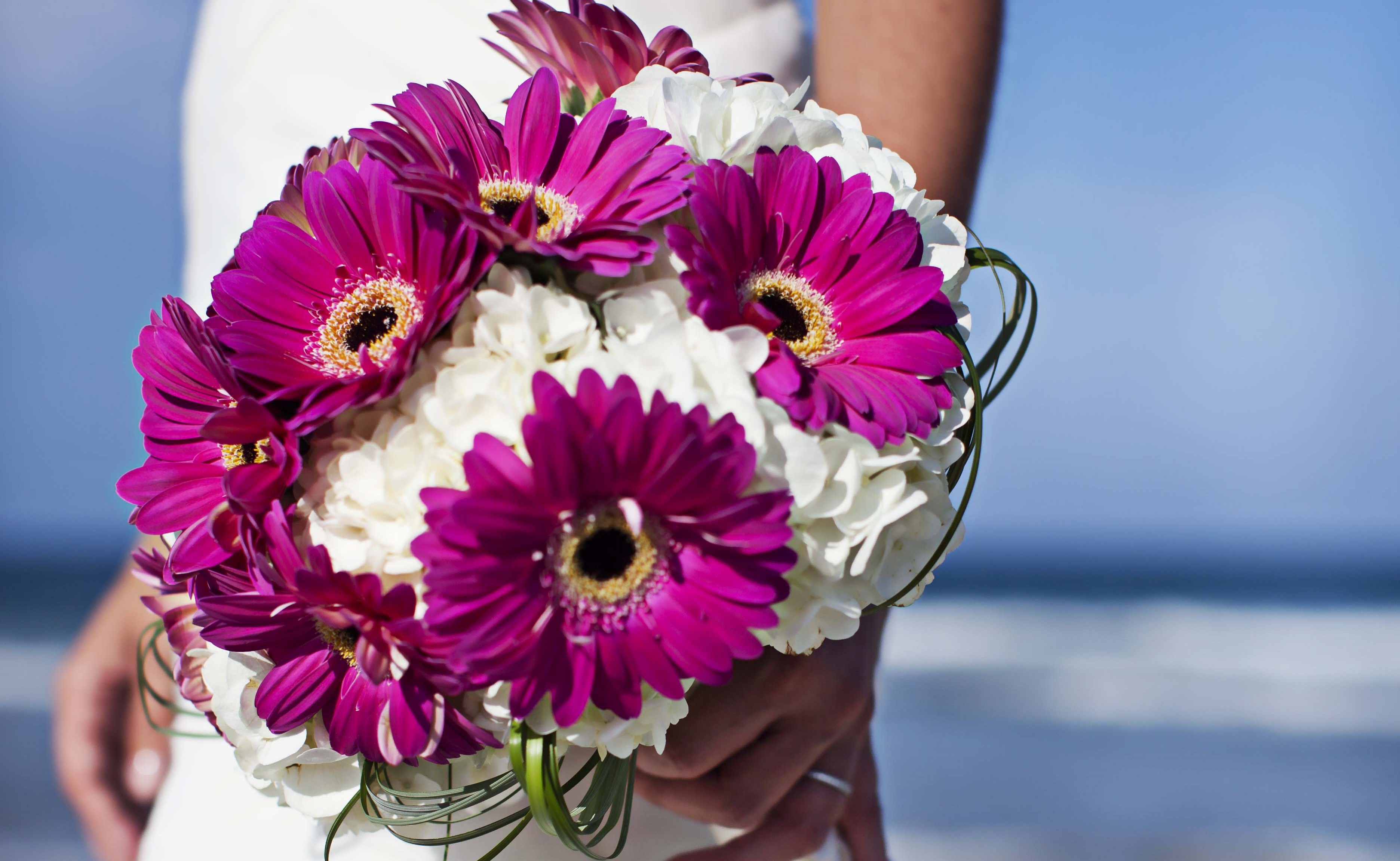 Outer Banks Weddings Outer Banks Beach Weddings