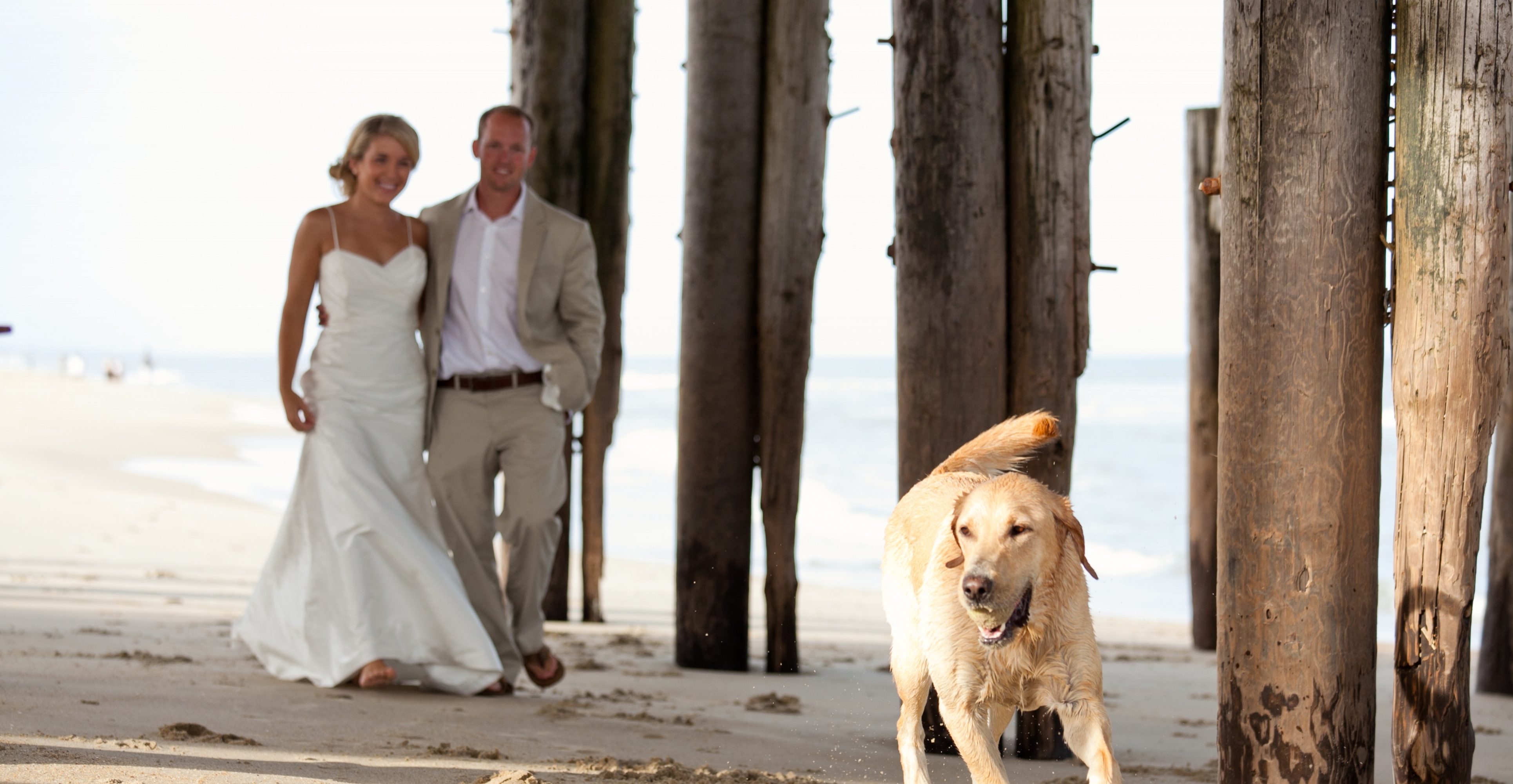 Outer Banks Marriage License Info Outer Banks Weddings