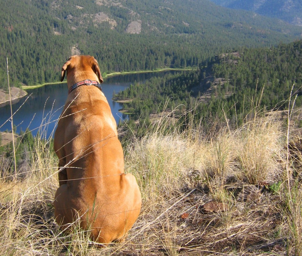 Rose Valley Regional Park