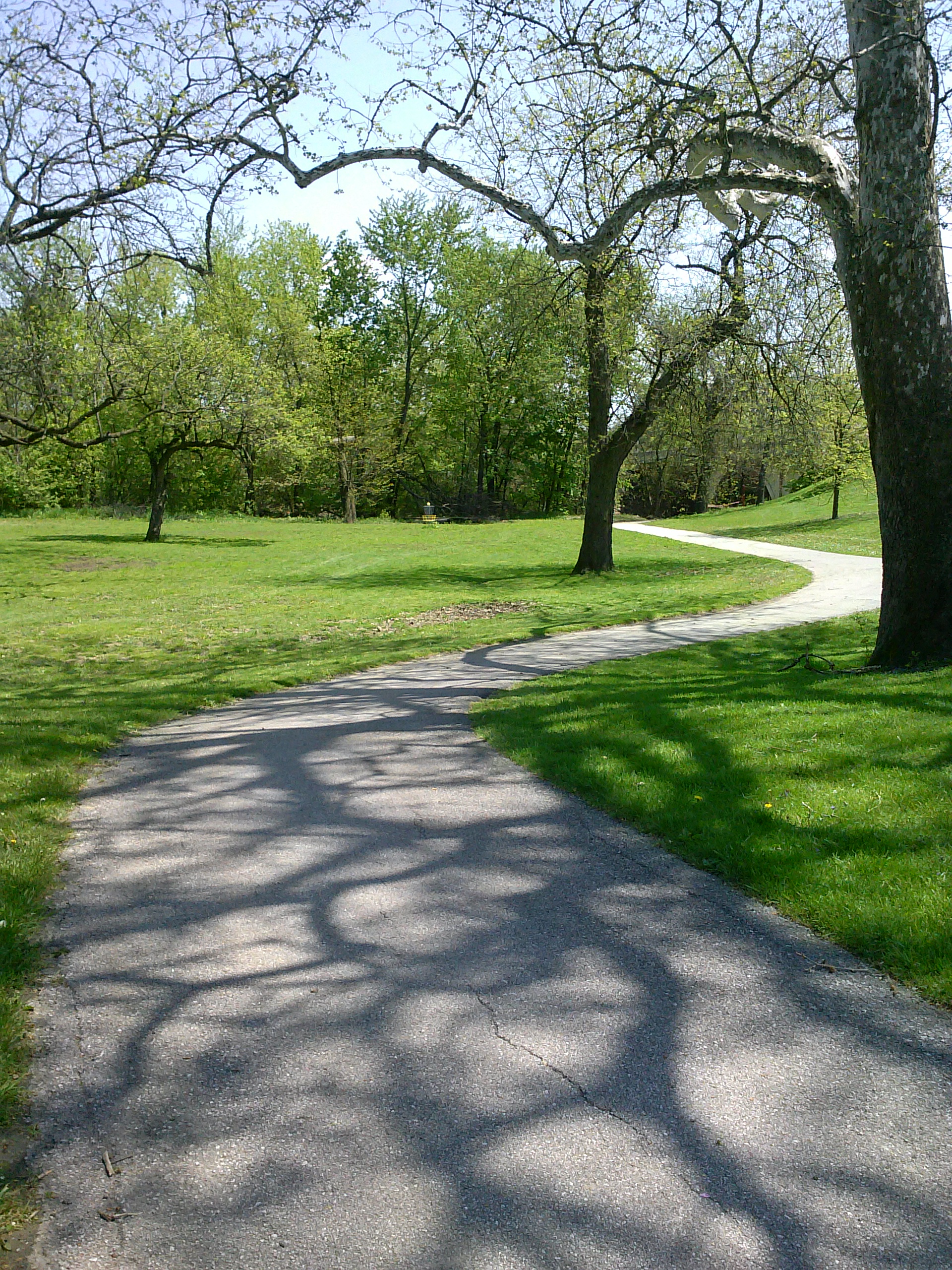 Swinney Park Trail