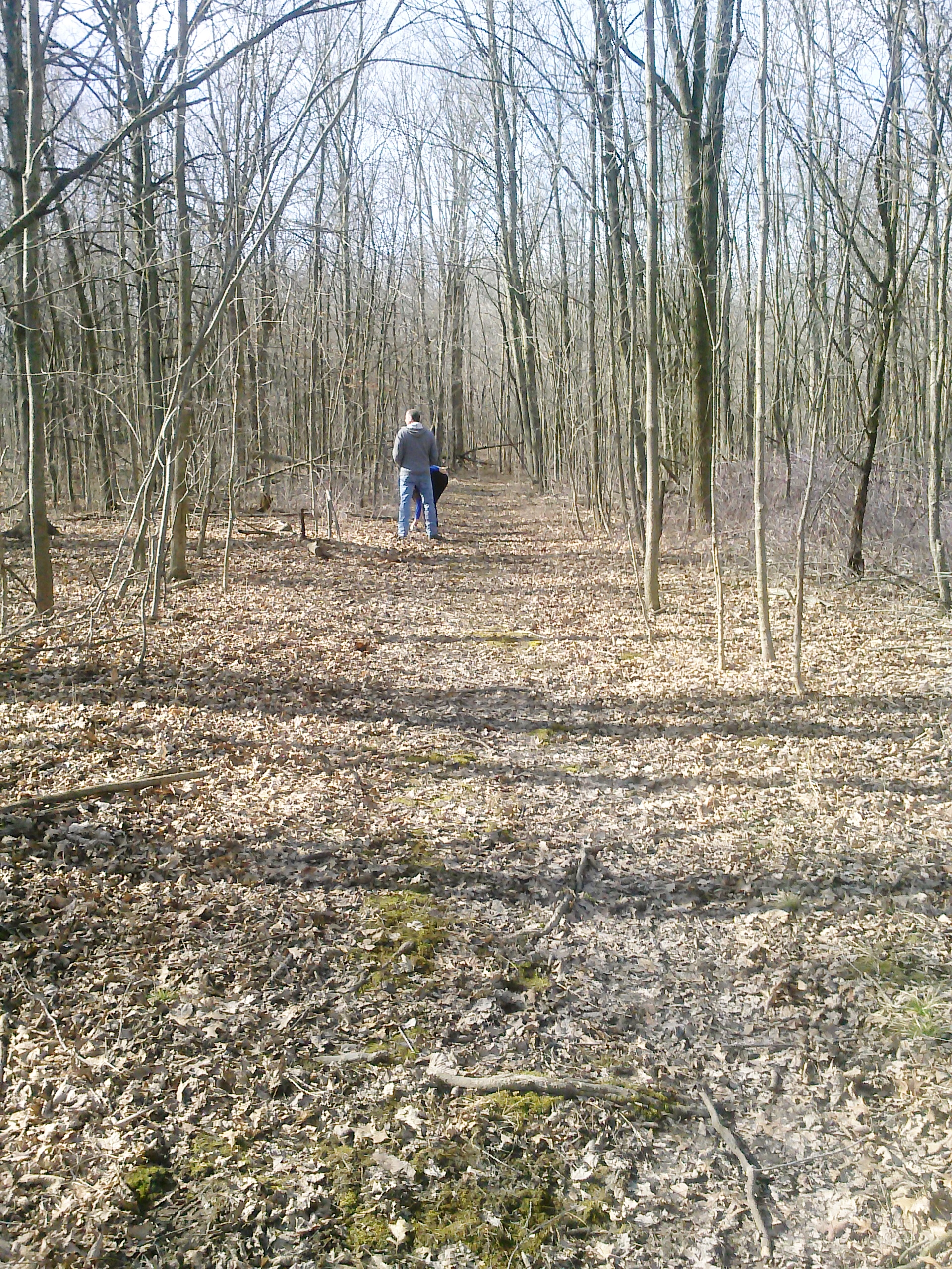Woods