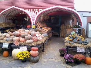 IMG_20121001_105450