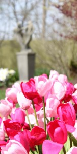 Flowers in full bloom give way to garden art.