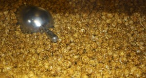 IMG_1658 for blog