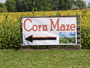 Mazes are part of the fall tradition in Hendricks County.