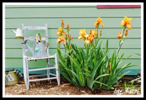 photo of plainfield garden tour